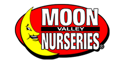 client logosmoon valley
